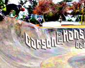 Carson Gnarson at the Hansen dam bowl cradle