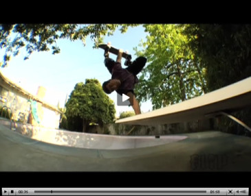 Lance Mountain Extremely Sorry Extras