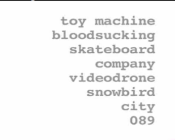 New Toy Machine Video Drone