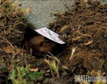 SK8MAFIA Saturday: July 3, 2010