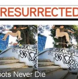 10 resurrected spot