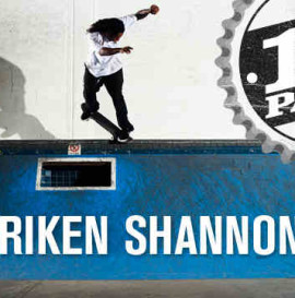 12 PACK: SHURIKEN SHANNON