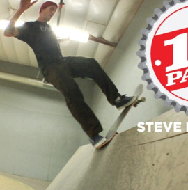 12 Pack: Steve Nesser