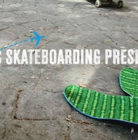 adidas Skateboarding International Team