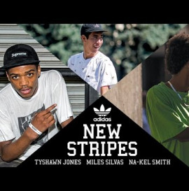 adidas Skateboarding New Stripes