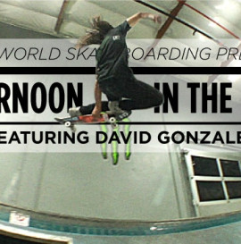 Afternoon In The Park: David Gonzalez