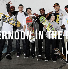 AFTERNOON IN THE PARK: DGK