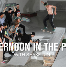 AFTERNOON IN THE PARK: SHAKE JUNT