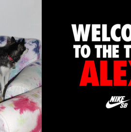 Alex Olson w Nike SB