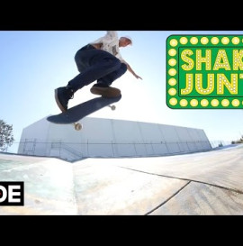 Andrew Reynolds - Shake Junt Pro Bearings