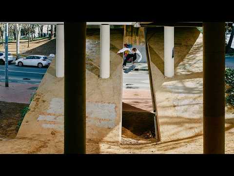 Andrzej Palenica – Bad Neighbor