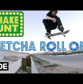 Bryan Herman Pro Bearings - Shake Junt