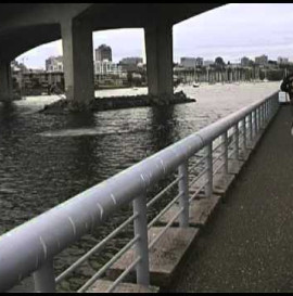 CAMBIE BRIDGE TAIL DROP