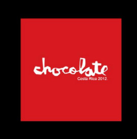 Chocolate and Girl Skateboards Demo