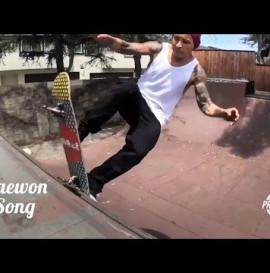 Daewon Song Pro Rated Bearings | Andalé Bearings