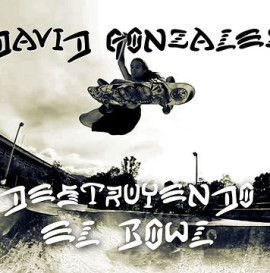 DAVID GONZALEZ - DESTROYS THE BOWL