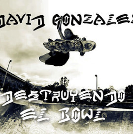 David Gonzalez Destruyendo el Bowl