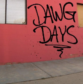 Dawg Days