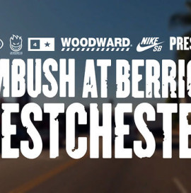 Deluxe Ambush at Berrics Westchester Demo