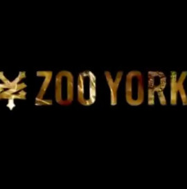 Dely Bosch w Zoo York