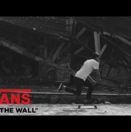 Dusty Lines | Skate | VANS
