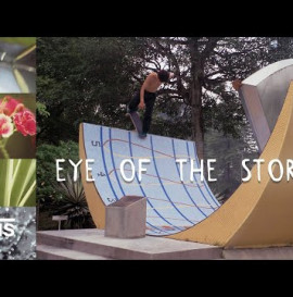 Eye Of The Storm | Skate | VANS