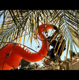 GoPro HD: Skateboarding Bucky Lasek's Backyard Bowl