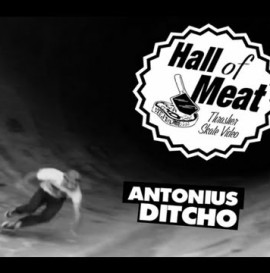 Hall of Meat: Antonius Dintcho