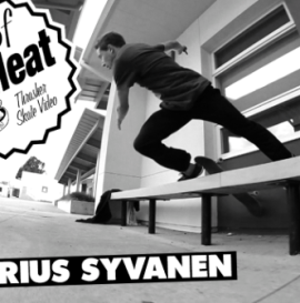 Hall Of Meat: Marius Syvanen