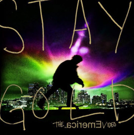 Heath Kirchart - Emerica Stay Gold Section