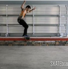 How To: 360 Flip Noseslide With Chris Cole
