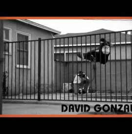 INDEPENDENT TRUCKS: DAVID GONZALEZ
