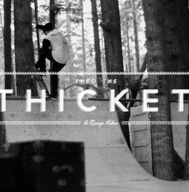 Into the Thicket - Trailer