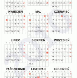 Jaki był rok 2010 w polskiej deskorolce?