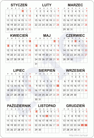 Jaki był rok 2010 w polskiej deskorolce?