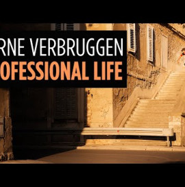 Jarne Verbruggen's "Professional Life" Part