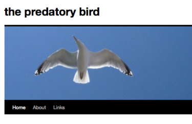 John Rattray’s Predatory Bird Blog