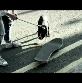 LAKAI: THE SHOES WE SKATE COMMERCIAL 2