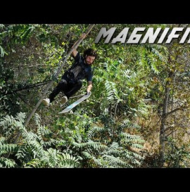 Magnified: Dave Mull