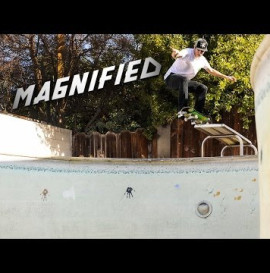 Magnified: David Gravette