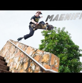 Magnified: Dolan Stearns