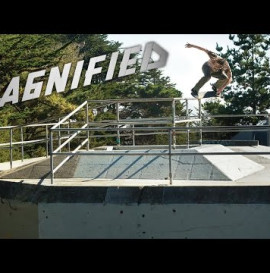 Magnified: Evan Smith