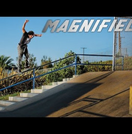 Magnified: Forrest Edwards