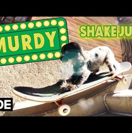 Murdy The Dawg - Shake Junt