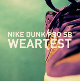 Nike Dunk Pro SB Weartest