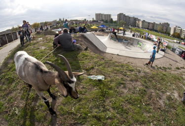 Opole - Harlem Skatepark Challange - fotorelacja