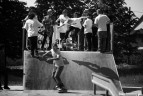 Otwarcie Skateparku w Brzeszczach - fotorelacja