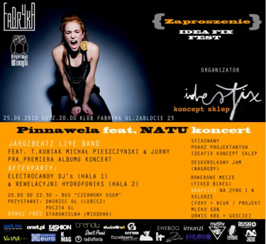 Pinnwela feat. NATU + IDEA FIX Fest + Skate Jam