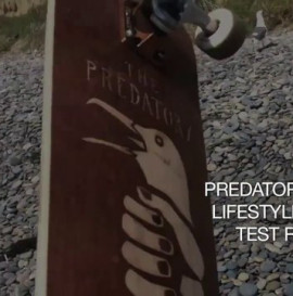 Predatory Bird Lifestyle Model Test Ride