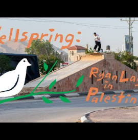 Ryan Lay in Palestine Video